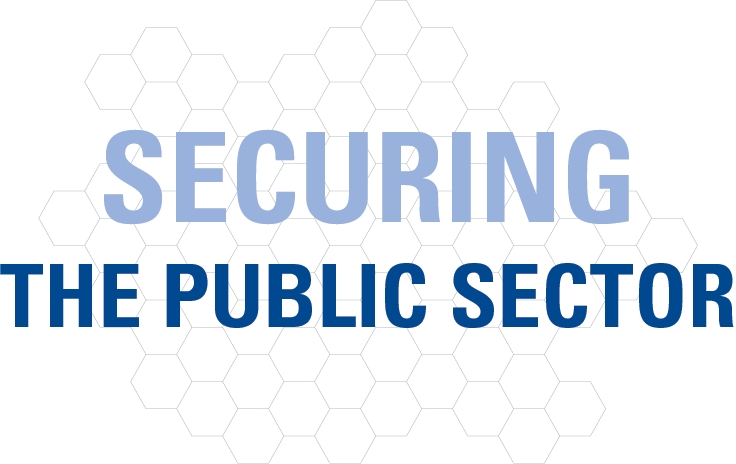 securing the public sector