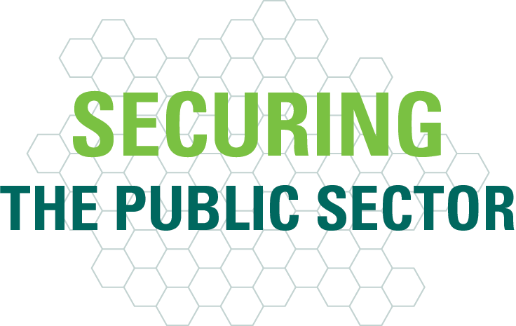 Securing Public Sector Logo